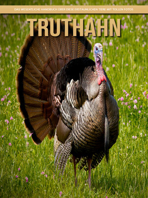 cover image of Truthahn